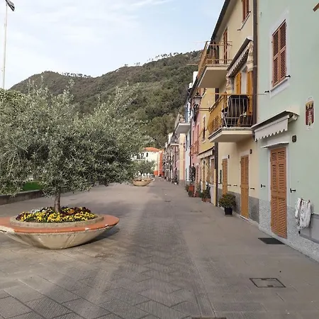 Riva House Apartment *