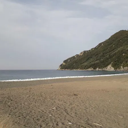 Apartment Riva House